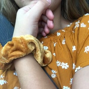 Meet your Posher, Taylor